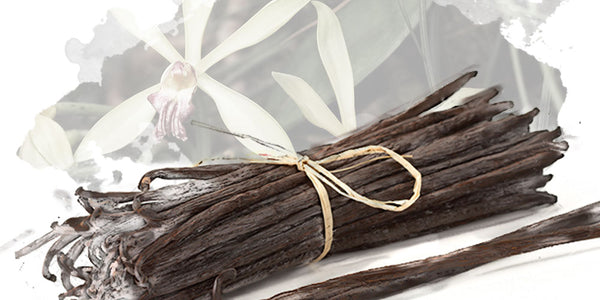 Vanilla is Anything but “Vanilla!”