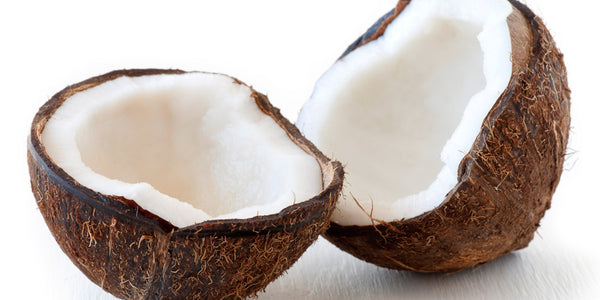 Coconut: The Fruit of Life