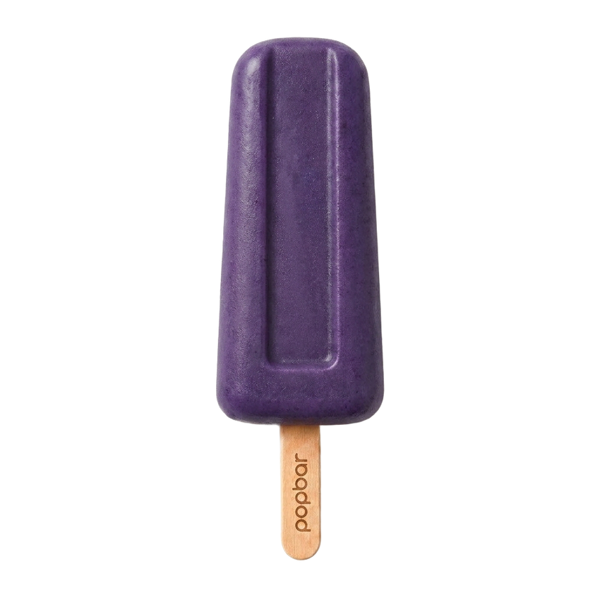 Blueberry sorbetto pop on a stick from Popbar, hand-crafted in New York City