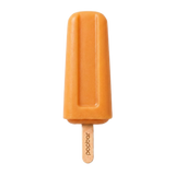 Persimmon sorbetto pop on a stick from Popbar, hand-crafted in New York City