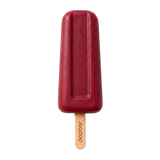 Pomegranate sorbetto pop on a stick from Popbar, hand-crafted in New York City