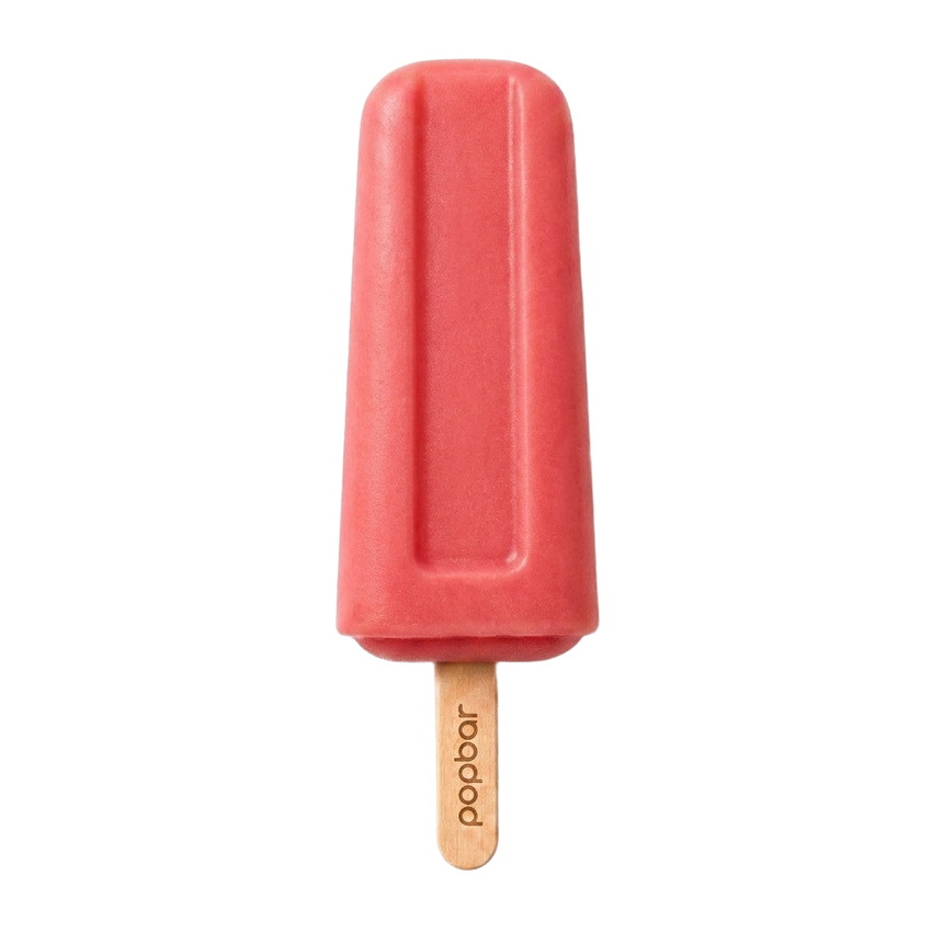 Watermelon sorbetto pop on a stick from Popbar, hand-crafted in New York City