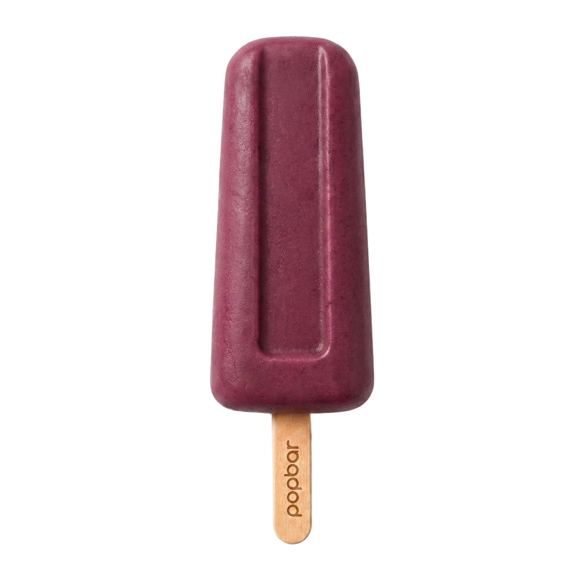 Wild Berry gelato pop on a stick from Popbar, hand-crafted in New York City